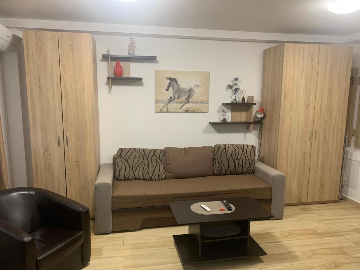 Studio Militari Residence Mr_1 Roşu Εξωτερικό φωτογραφία